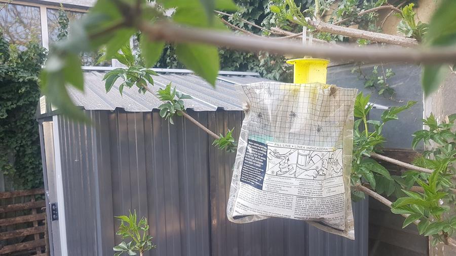 Feromonen inschakelen tegen plagen