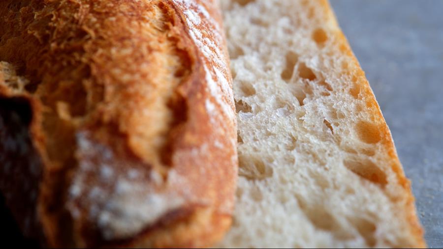 Le pouvoir du levain