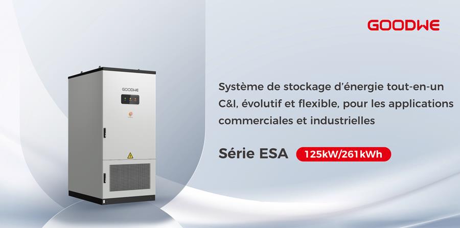 GoodWe lance une solution de stockage d’énergie liquide refroidi de 125 kW/261 kWh pour applications C&I