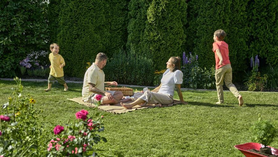 Waarom 80% van de Belgische gazons teleurstelt