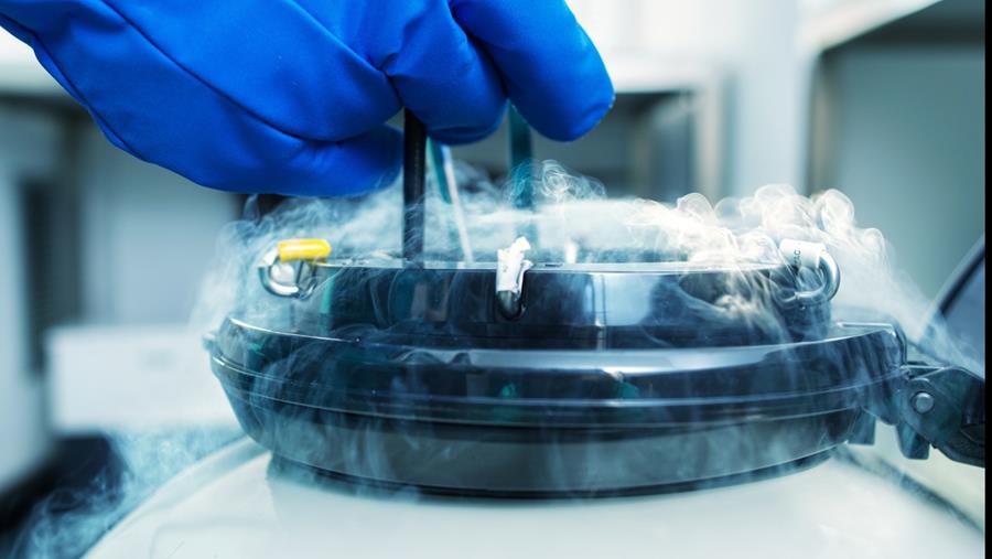 Meer dan 600 kankerpatiënten lieten kinderwens invriezen