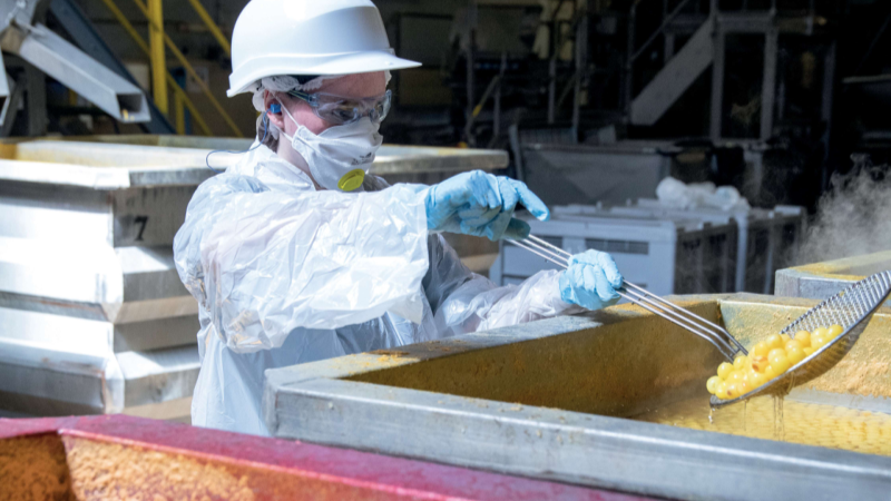 Delta Plus presenteert gespecialiseerde PBM-gids voor de voedingssector
