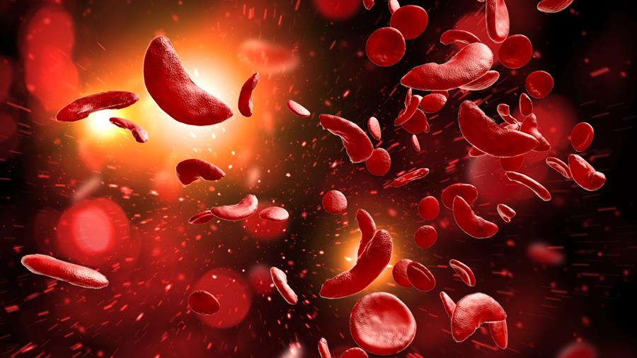 Deux hémoglobinopathies, un traitement ingénieux couronné par le Prix Galien
