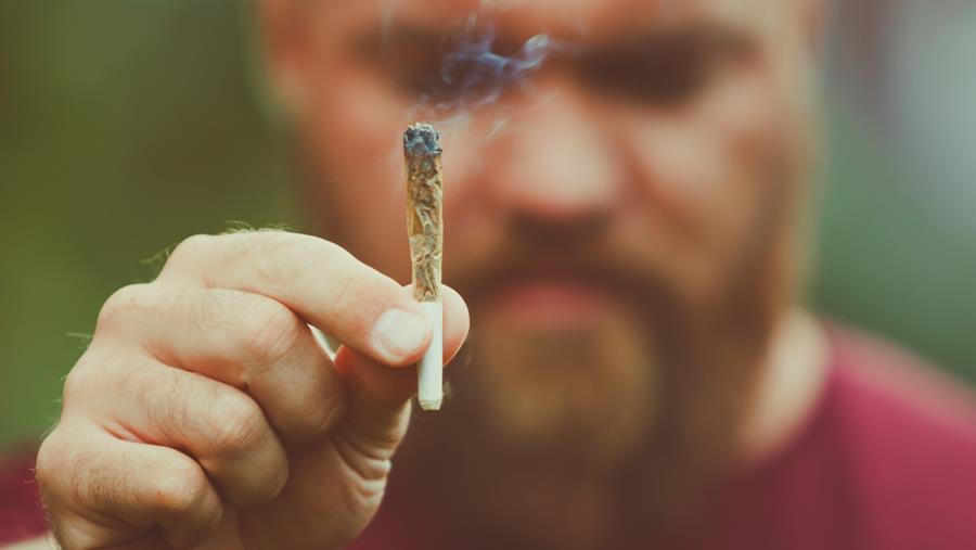 Psychose met of zonder cannabis